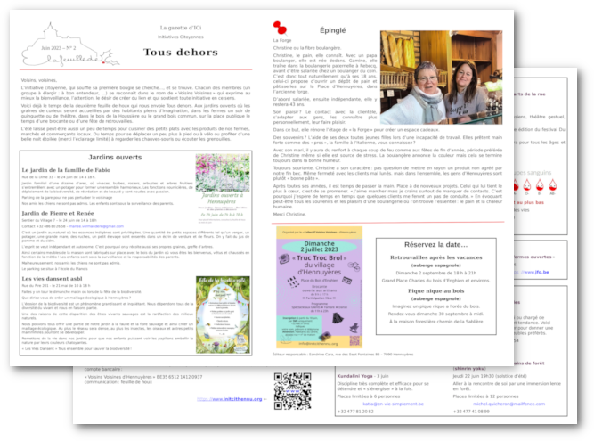 Feuille de houx n°2