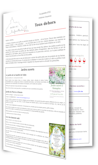 Feuille de houx n°2